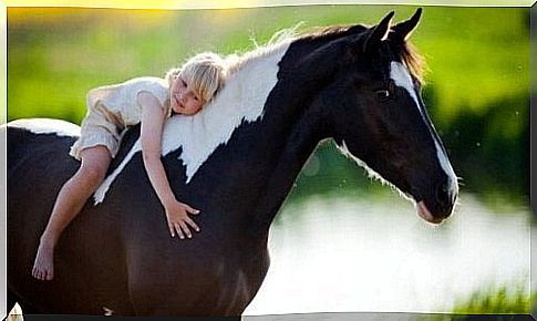 Girl hugs a horse: horse-assisted therapy