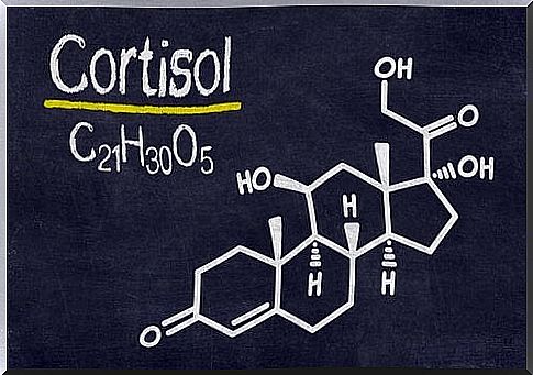 Cortisol, the stress hormone