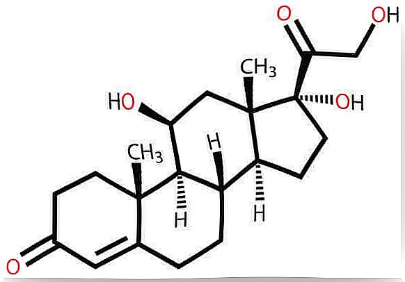 Cortisol, the stress hormone