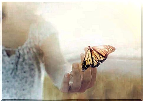 Butterfly on hand