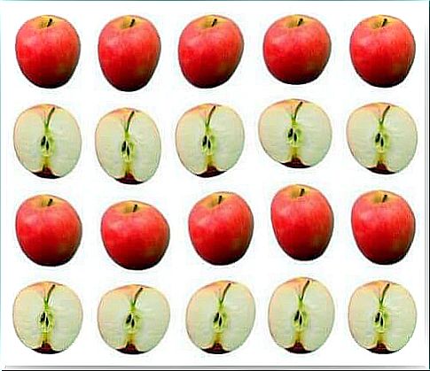 Rows of apples.