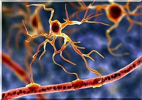 Glial cells: The basis of brain function