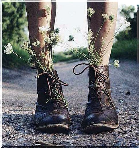 Flowers grow out of shoes