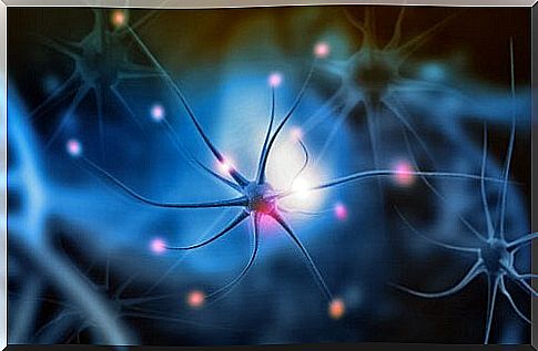 Neurons