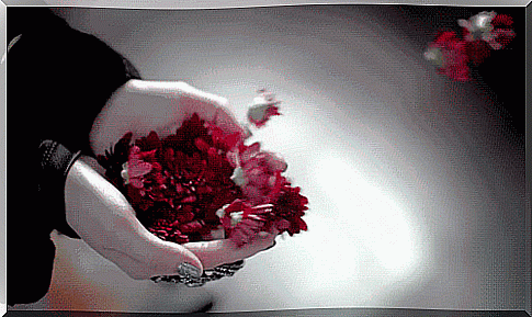 Flowers flow out of someone's hands