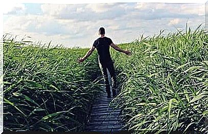 Man walks through a meadow