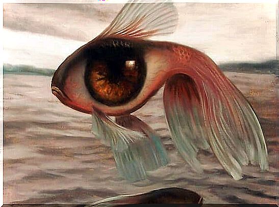 Fish with a big eye